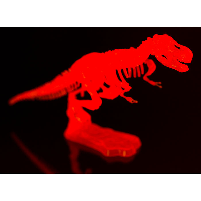 BLU MINI KIT ASAMBLARE SCHELET DE DINOZAUR 10CM GLOW IN THE DARK 59/2194 [11]