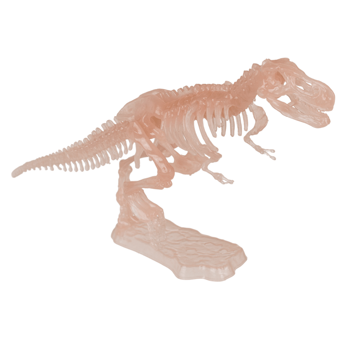 BLU MINI KIT ASAMBLARE SCHELET DE DINOZAUR 10CM GLOW IN THE DARK 59/2194 [9]