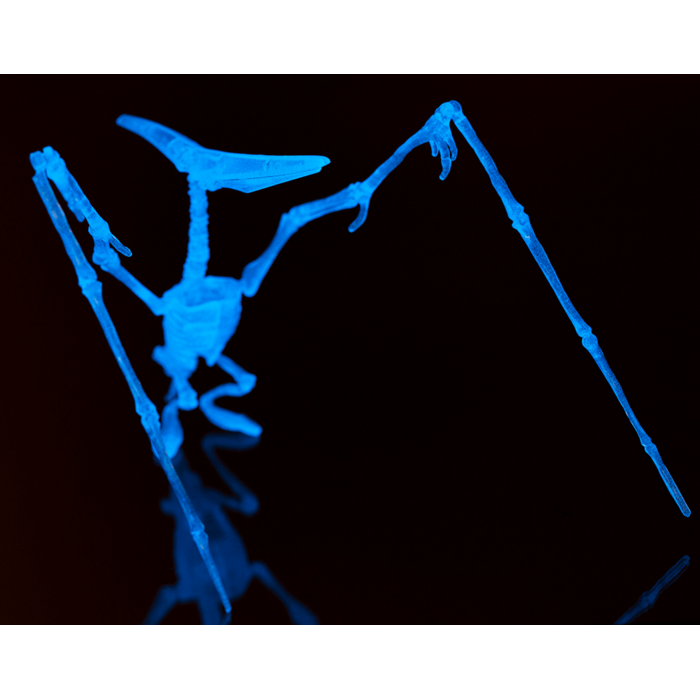 BLU MINI KIT ASAMBLARE SCHELET DE DINOZAUR 10CM GLOW IN THE DARK 59/2194 [8]