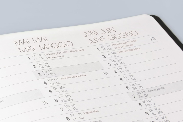 AGENDA DATATA LUNAR SLIMLINE B5 2026 BALADEK NEGRU 73933906 [8]