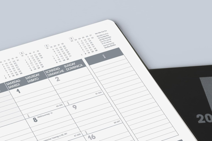 AGENDA DATATA LUNAR SLIMLINE B5 2026 BALADEK NEGRU 73933906 [7]