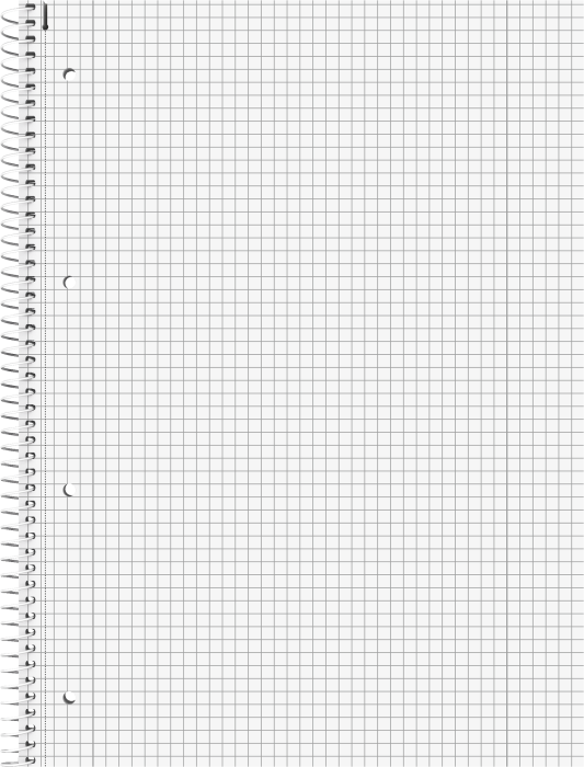 CAIET A4 80F SPIRA SI PERFORATII ROSU TULIP PATRATELE 69928125 [2]