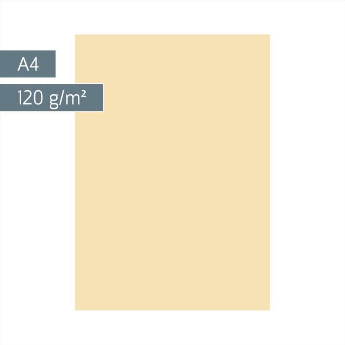CARTON COLOR A4 120GR 25/SET CHAMOIS 5123511 [2]