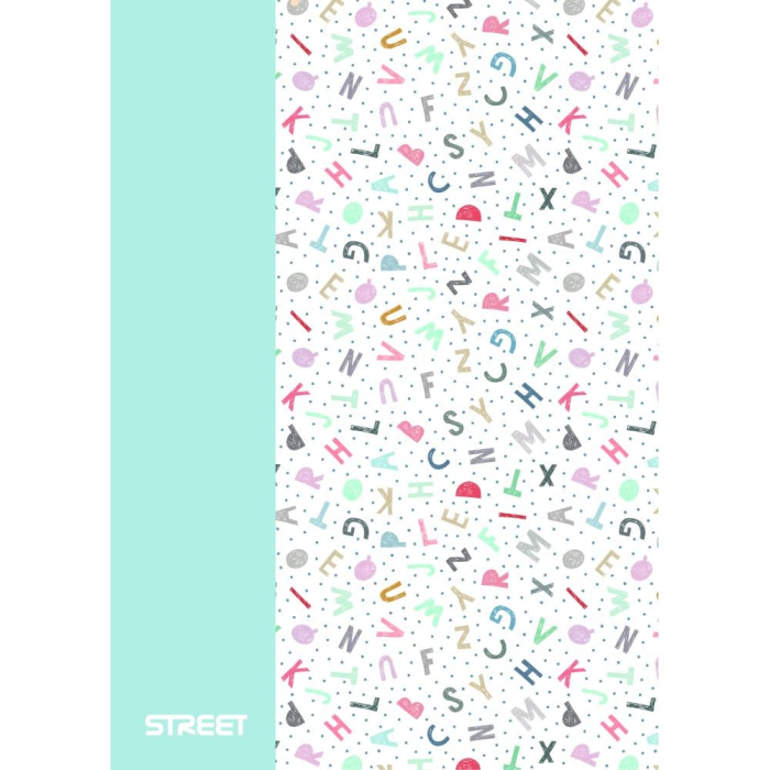CAIET A4 PP 42 FILE, PATRATELE, STREET BLOSSOM 67375 [5]