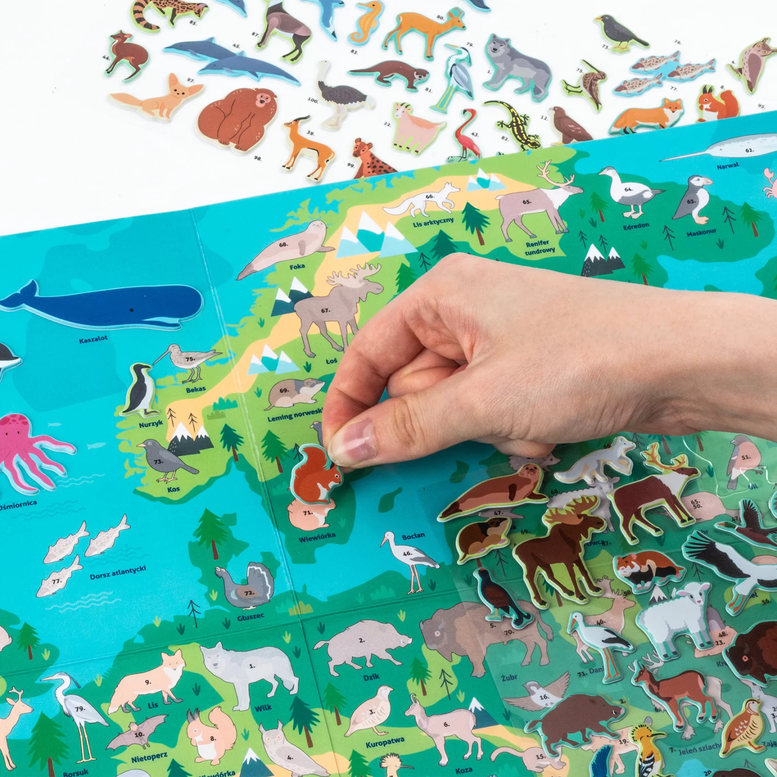 JOC EDUCATIV ANIMALELE EUROPEI CU HARTA SI STICKERE KIDEA GZZEKA [5]