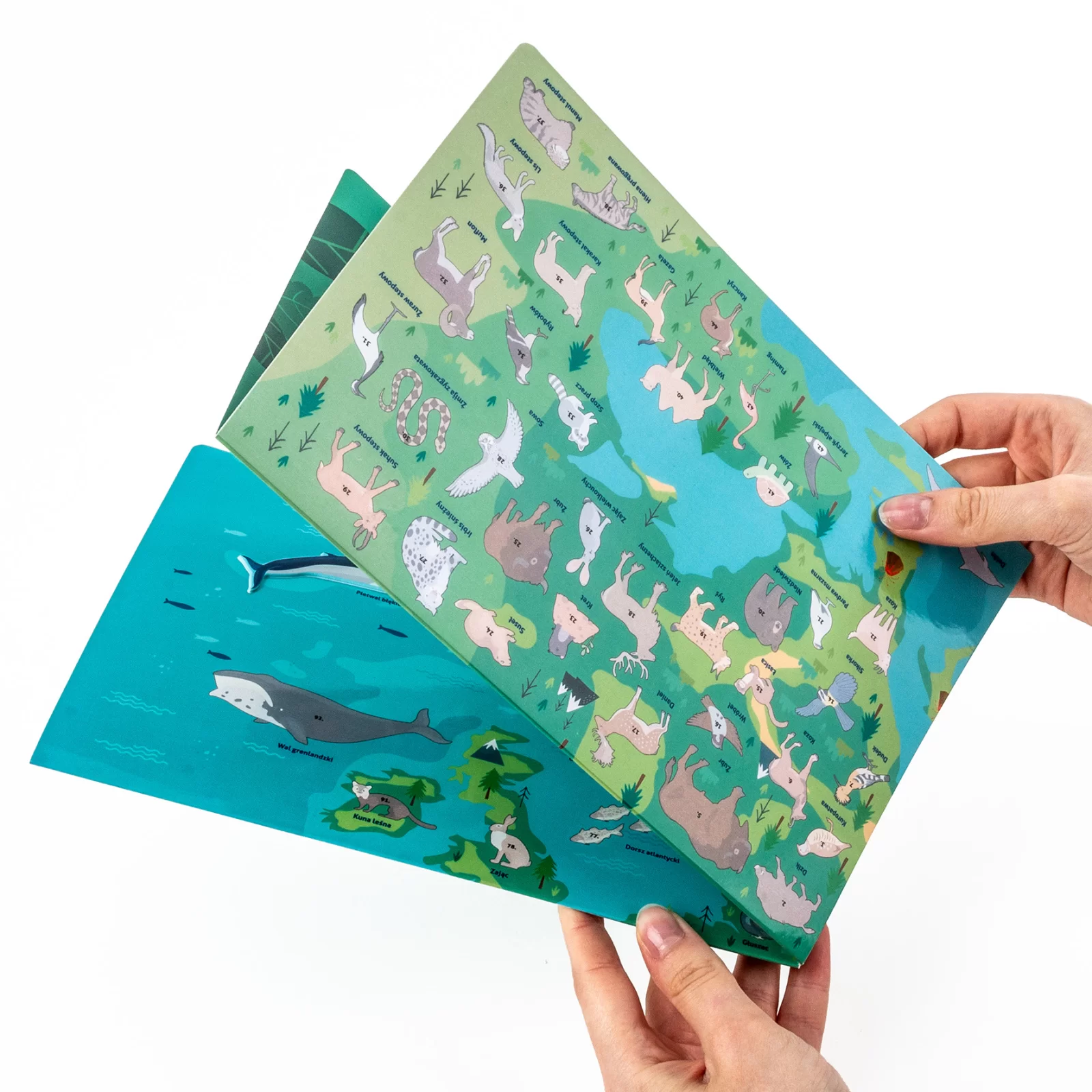 JOC EDUCATIV ANIMALELE EUROPEI CU HARTA SI STICKERE KIDEA GZZEKA [8]