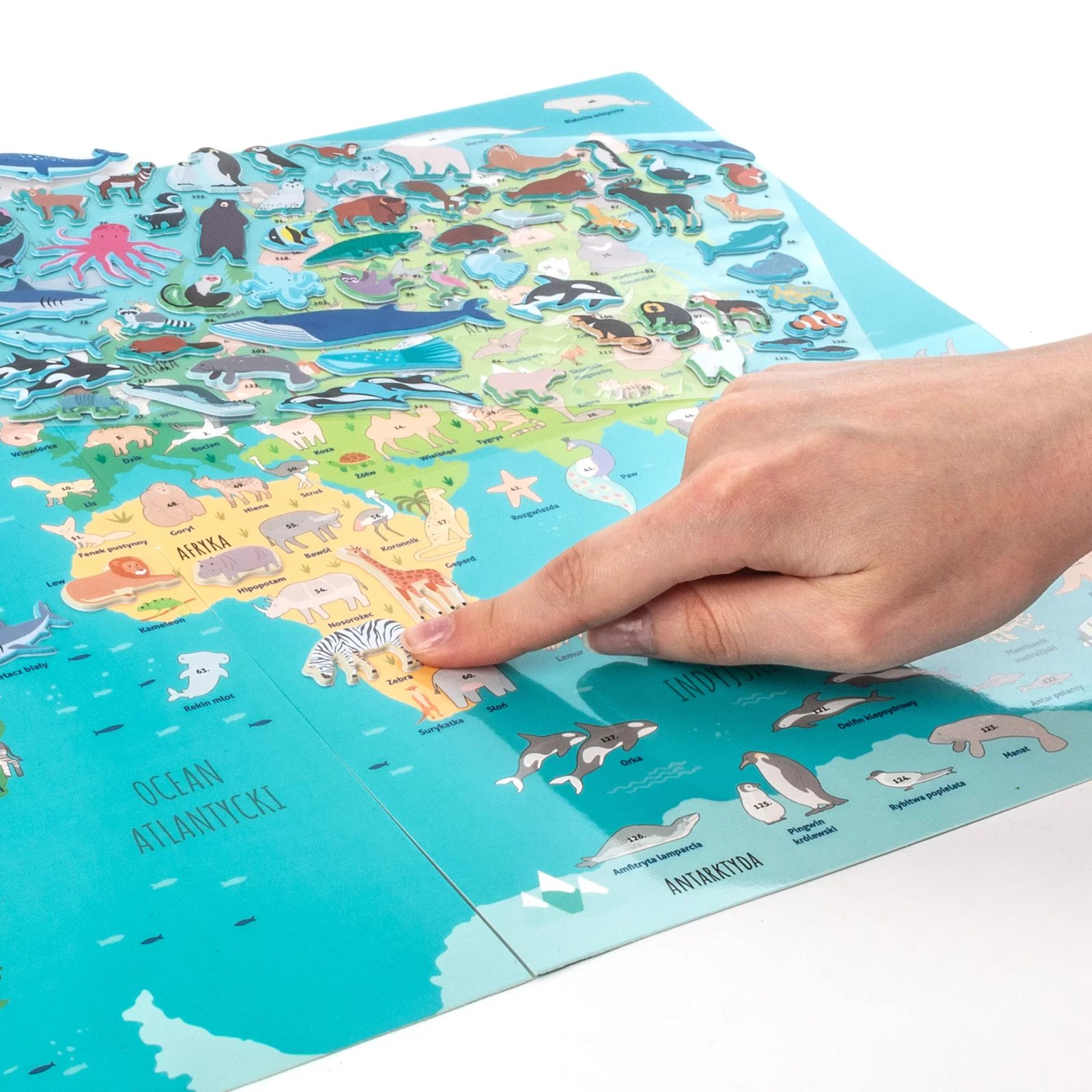 JOC EDUCATIV ANIMALELE LUMII CU HARTA SI STICKERE KIDEA GZZSKA [6]