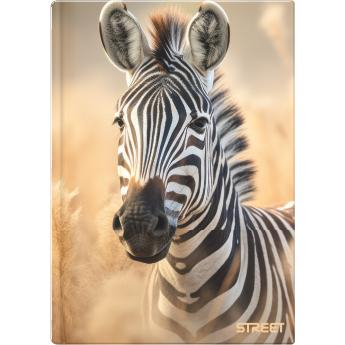 CAIET A4 96 FILE, LINII, STREET MAXI 67550 [2]