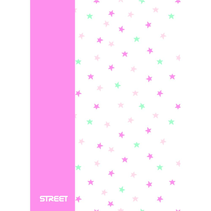 CAIET A4 PP 42 FILE, LINII, STREET BLOSSOM 67374 [6]