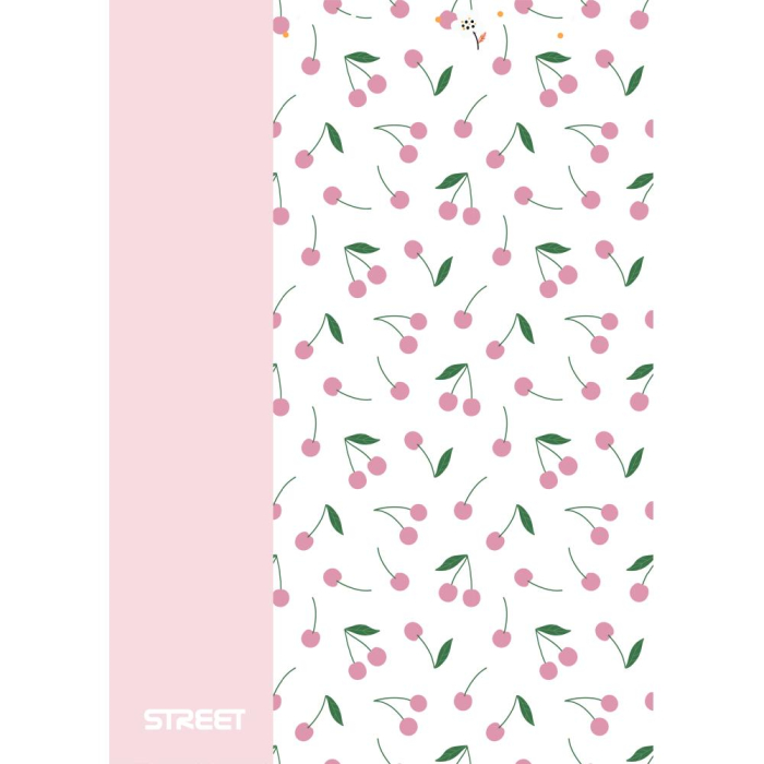 CAIET A4 PP 42 FILE, LINII, STREET BLOSSOM 67374 [4]