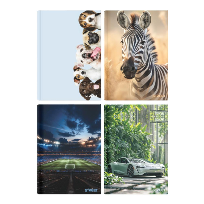 CAIET A5 96 FILE, LINII, STREET MAXI 67553 [1]