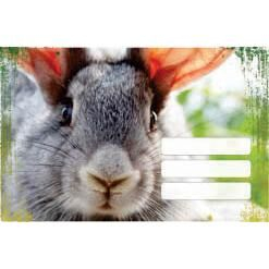 EU ETICHETE SCOLARE AUTOADEZIVE 9/SET ANIMAL CUTE 23325/213290 [2]