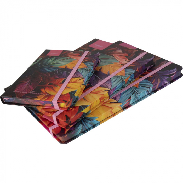 EU NOTES A6 96 FILE, CU ELASTIC, LINII, STREET FLOWERS PETAL 778090 [2]