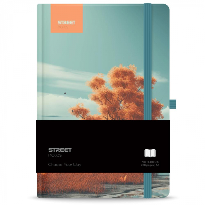 EU NOTES A6 96 FILE, CU ELASTIC, LINII, STREET TREES ENCHANTED 778111 [1]