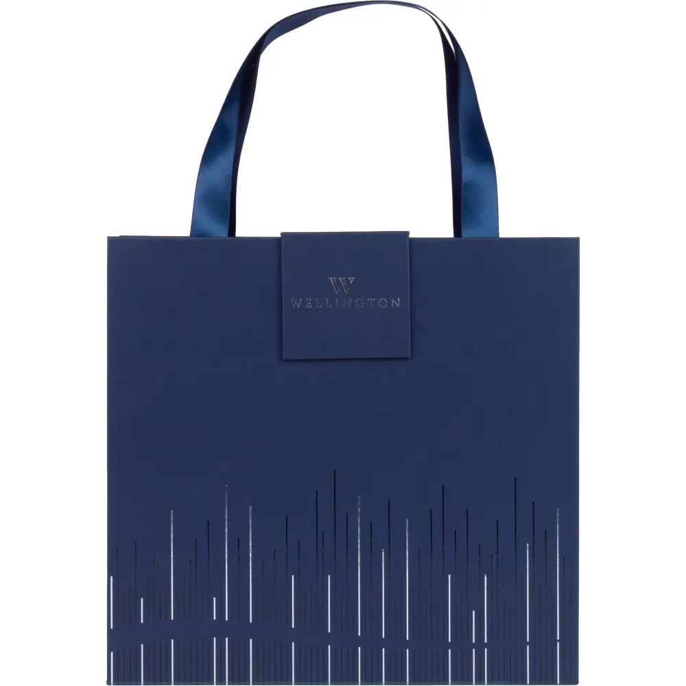 SET CADOU WELLINGTON OXFORD ALBASTRU CU NOTES A5 SI PIX 1954605 [10]