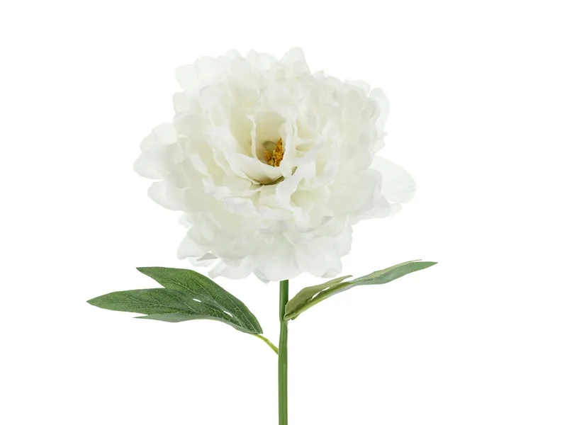 Bujor Artificial Alb 35cm KWT4-008 - Decor Elegant [5]