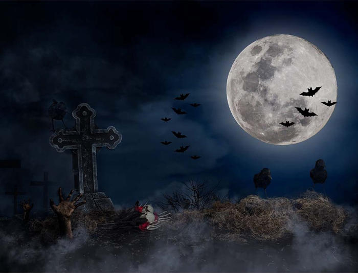 DECORATIUNE HALLOWEEN MIX FLORI, 5 MODELE 45CM 72149 [8]