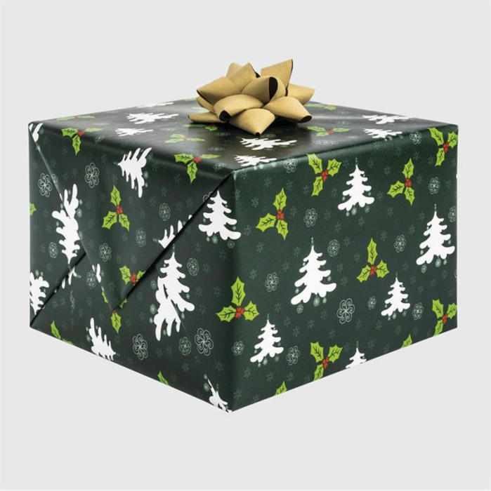 HARTIE AMBALAJ 200*70CM MOTIV CRACIUN P2_GW_13 [2]