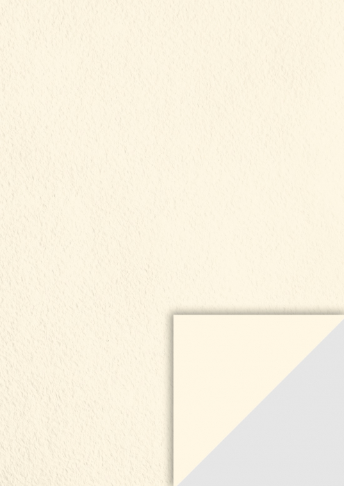 KP CARTON A4 220GR CREM 4720107 [1]