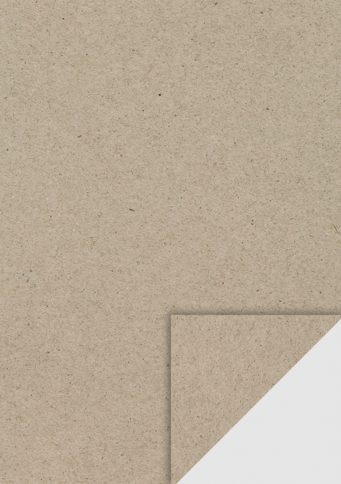 KP CARTON A4 220GR HEYDA NISIP 50/SET 1436060 [1]