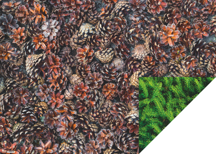 CARTON DECOR 50*70 300GR MOTIV CRENGI/CONURI BRAD 4772256 [2]