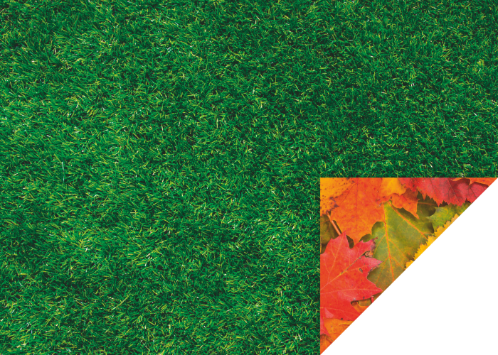 KP CARTON DECOR 50*70 300GR MOTIV IARBA/FRUNZE 4772288 [2]