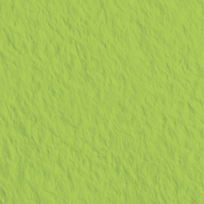 KP CARTON TEXTURAT 50*70 220GR VERDE DESCHIS 4720050 [2]