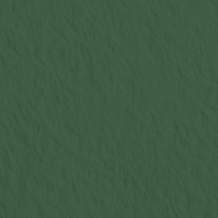 KP CARTON TEXTURAT 50*70 220GR VERDE INCHIS 4720059 [2]