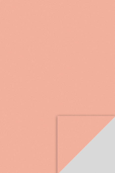 KP COALA GUMATA A4 2MM PIERSICA 8433208 [1]