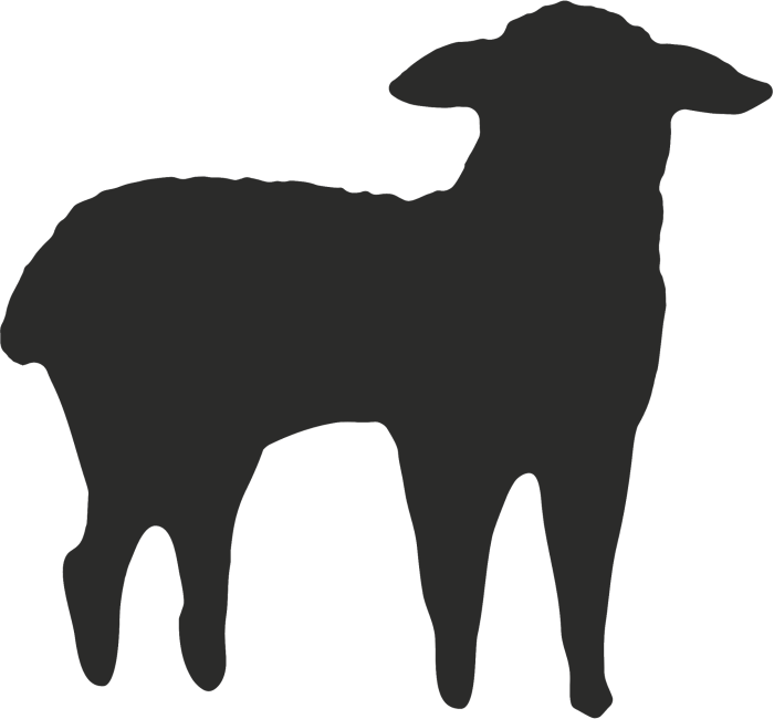 PERFORATOR DECORATIV HEYDA 1.7CM MIEL 3687610 [3]