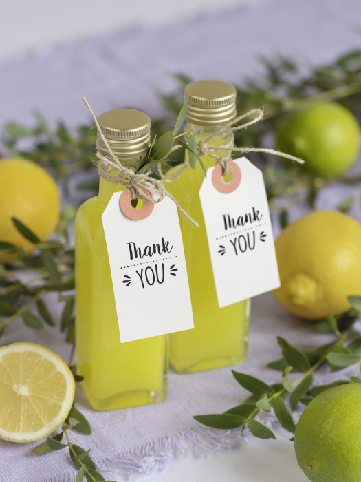 KP PERFORATOR DECORATIV PENTRU COLTURI 4 MODELE 3687750 [3]