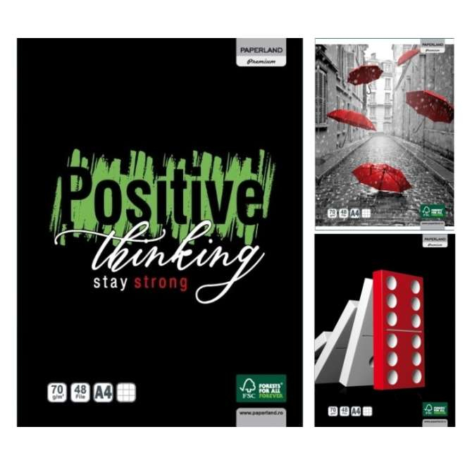 PA CAIET A4 48 FILE 70G PATRATELE 24800024 [4]