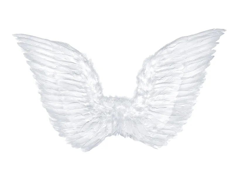 ARIPI DE INGER, white, 75 x 45cm SK3-008 [1]