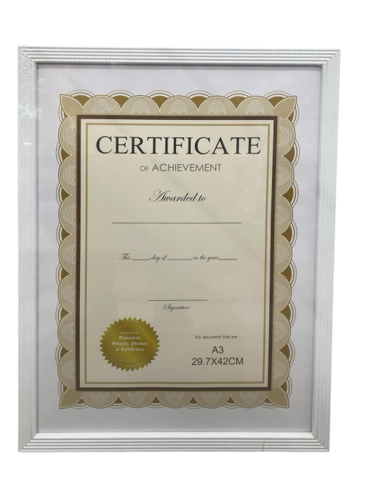 RAMA FOTO A3 DIVERSE CULORI 45*32CM 1151 [2]