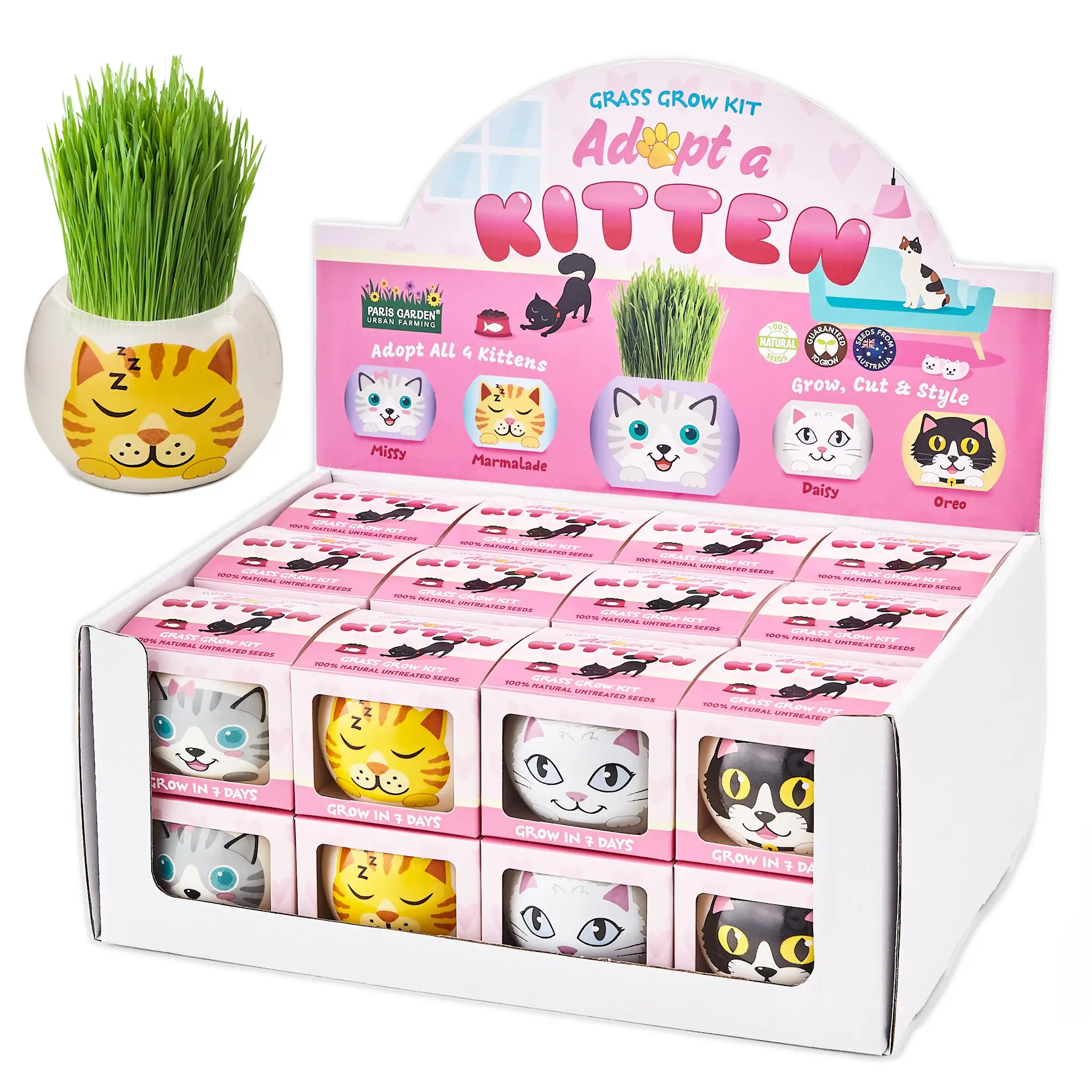 KIT CULTIVARE SEMINTE IARBA IN GHIVECI CERAMIC PISICA 30338 [3]