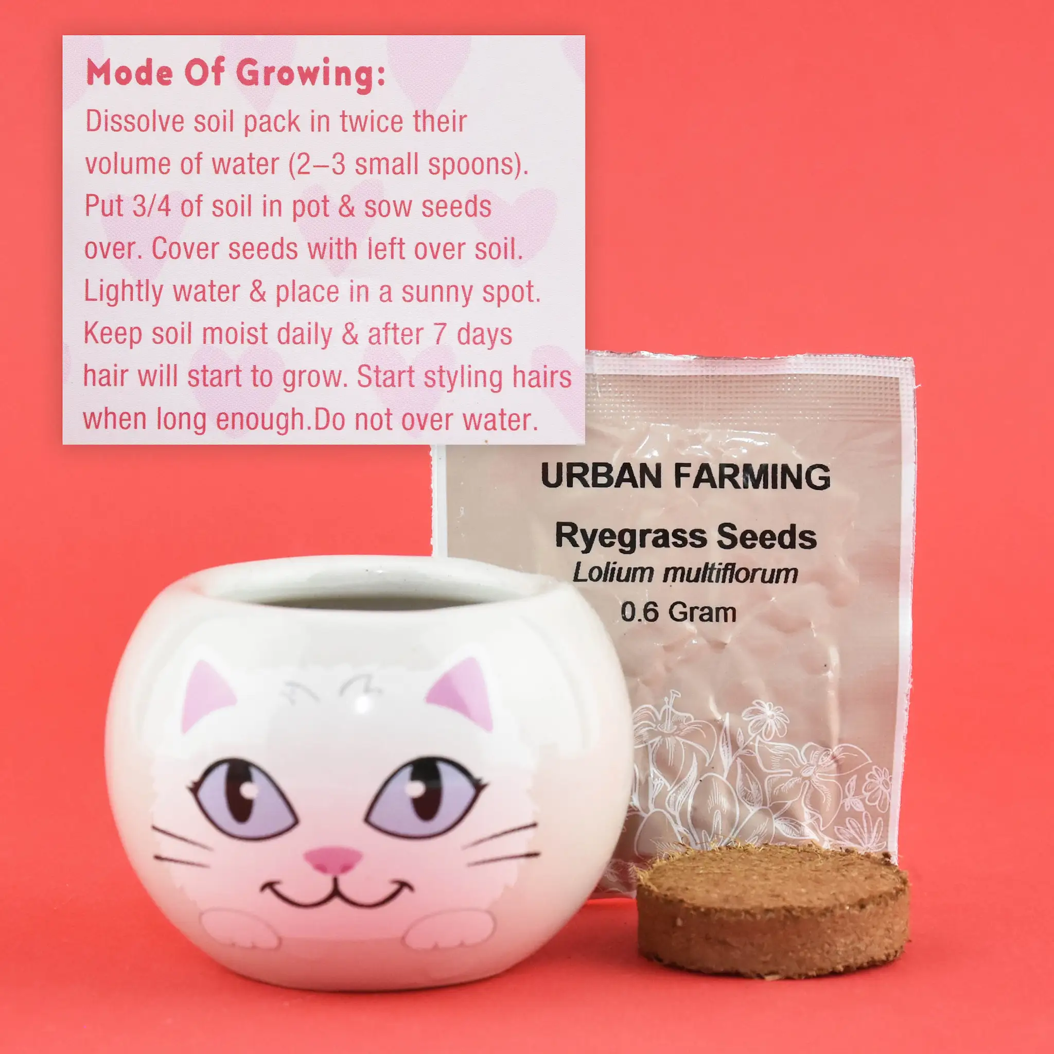 KIT CULTIVARE SEMINTE IARBA IN GHIVECI CERAMIC PISICA 30338 [2]