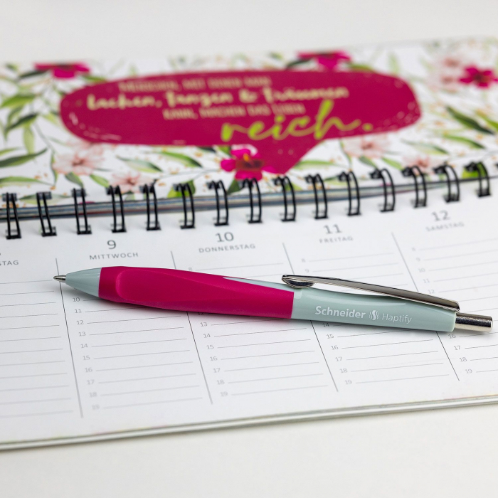 SCR PIX SCHNEIDER HAPTIFY ALB -MOV PASTEL SD-011372 [5]