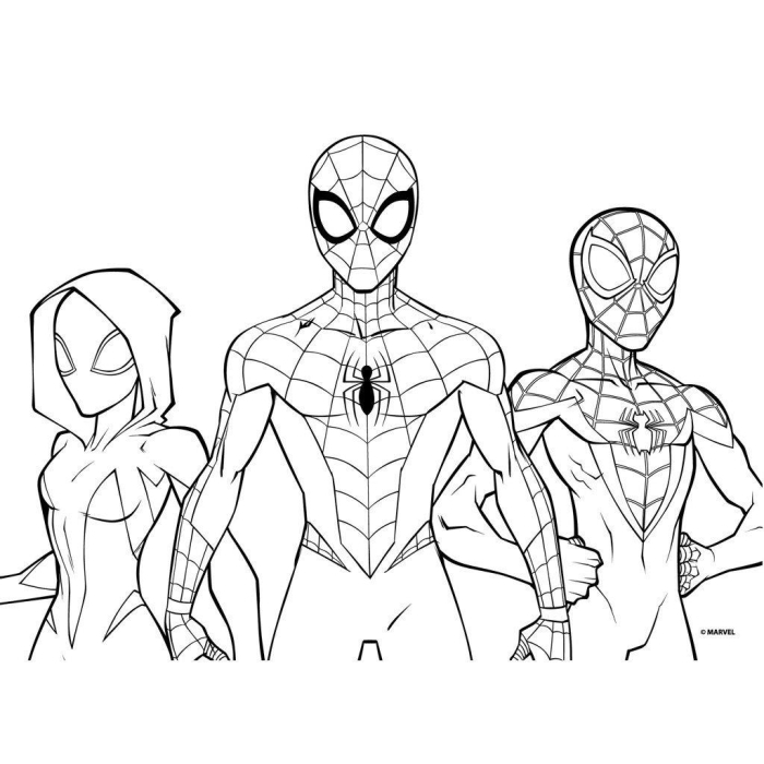 SET DE COLORAT 31 PIESE 54x47CM SPIDERMAN 508424 [4]