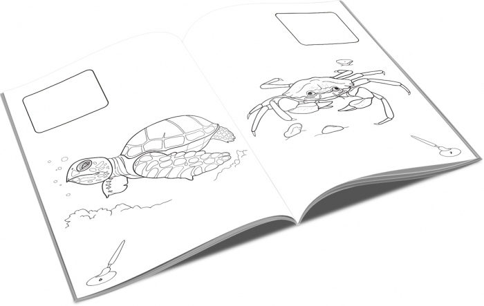 UP CARTE COLORAT A4 LIPIM SI COLORAM ANIMALE MARINE [2]