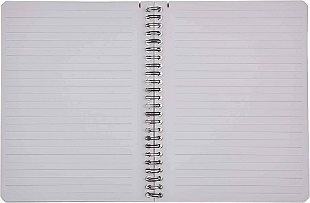 RH BLOC NOTES A5+ SPIRA 80F DR ORANGE RHODIA 193468C [3]