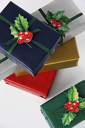 CF HARTIE IMPACHETAT ROLA 0.7*50M ROSU KRAFT 60GR/M2 CLAIREFONTAINE 507506C [1]