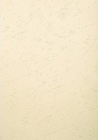 APARATURA PENTRU BIROU - EX COPERTA CARTON IMITATIE PIELE A4 NATUR 25/SET 27800E/27809E