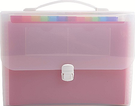 ORGANIZARE SI ARHIVARE - EX SERVIETA 24 COMPARTIMENTE 55698E