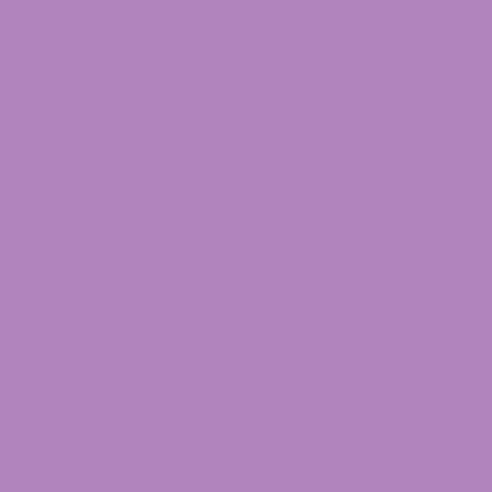 PR HARTIE SCHITA Canson Colorline 50x70 220gr VIOLET [1]