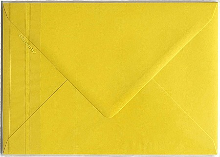 PLIC CLAIREFONTAINE C5 5/SET GALBEN INTENS 26562C [1]