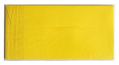 PLIC CLAIREFONTAINE DL 5/SET GALBEN INTENS 26565C [1]