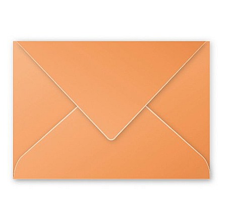 PLIC CLAIREFONTAINE C5 20/SET ORANGE 5492C [1]