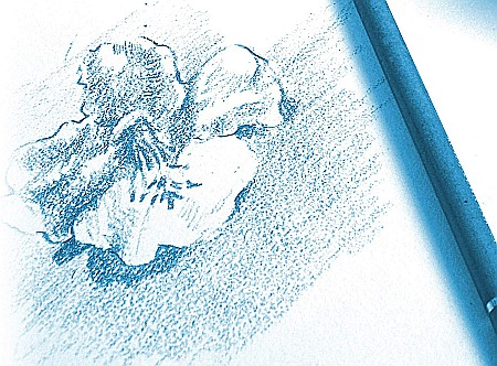 CF BLOC DESEN A5 30F 180GR SPIRA CLAIREFONTAINE DESSIN A GRAIN 96633C [2]