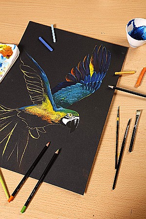 CF BLOC DESEN A4 PAINT'ON 20F 250GR/m2 CLAIREFONTAINE MULTI-TECHNIQUE NEGRU 975169C [1]