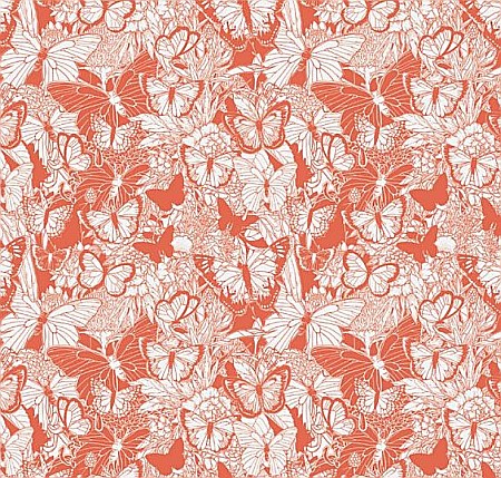 CF HARTIE DECUPAJ 39.5*29.8CM BUTTERFLY FDA762O [1]